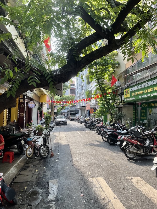 "Eine Straße, über die ein dicker begrünter Ast wächst. In der Straße hängen kleine rote Flaggen. Am Straßenrand parken einige Mopeds."