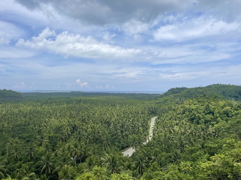 "Der Blick über Siargao. Eine Straße windet sich durch den Palmenwald. Man sieht in die Ferne bis zum Ozean."