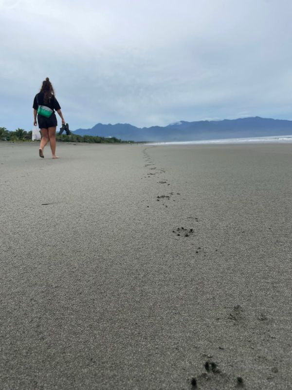 "Sophia geht am Strand entlang, mit dem Rücken zur Kamera. Neben ihr verlauft eine Spur Hundepfoten"