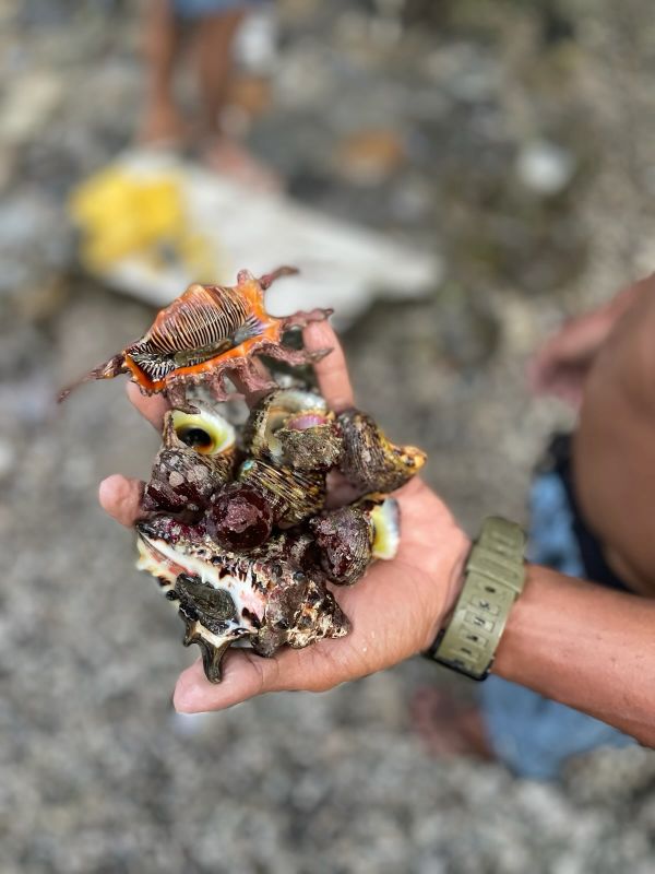 "Chad hält wunderschöne Muscheln in seiner Hand"