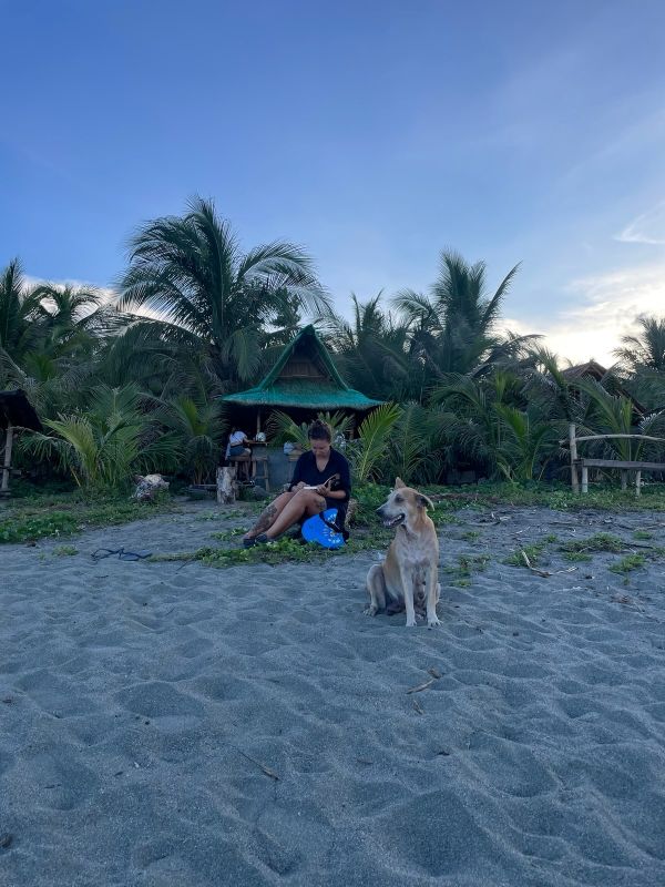 "Sophia sitzt am Strand und zeichnet. Ein paar Meter vor ihr sitzt Kabud."