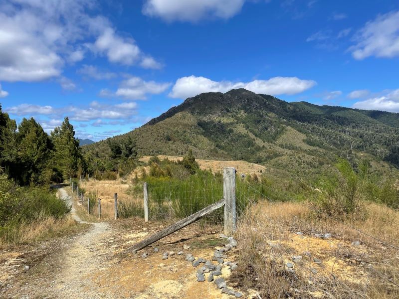 "Ein Wanderpfad in den Bergen rund um Murchison. Im Hintergrund sieht man einen grünen Wald und einen grünen Berggipfel."