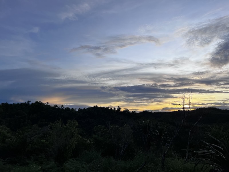 "Der Sonnenuntergang über einem dunklen Urwald."