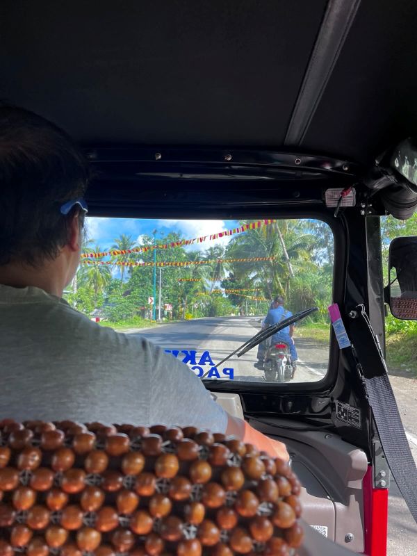 "Die Perspektive der Rückbank des Tuktuks. Blick über die Schultern von Davids Papa, wie er auf den Straßen Siargaos unterwegs ist. Vor ihm fährt ein Moped mit zwei Passagieren, am Straßenrand sind Palmen und über der Straße sind kleine Fähnchen aufgehängt."