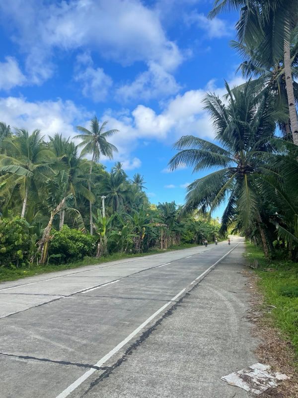 "Eine Straße, die von beiden Seiten von dichtem Dschungel, voller Kokosnusspalmen begrenzt werden. Einige Mopedfahrer fahren auf der Straße."