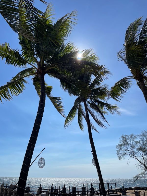 "Hinter drei hohen Palmen verbirgt sich die Nachmittagssonne. Der Himmel ist blau und wolkenlos. Das Meer ist ruhig."