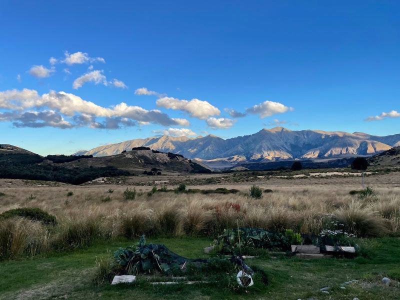 "Eine malerische Hügellandschaft mit buschiger Pflanzen im Vordergrund und blauem Himmel und aufgelockerten Wolken im Hintergrund."