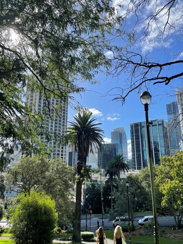 "Im Hintergrund sind hohe Bürogebäude zu sehen. Im Vordergrund sind grüne Bäume und Palmen des Albert Parks. Der Himmel ist blau, die Sonne scheint."