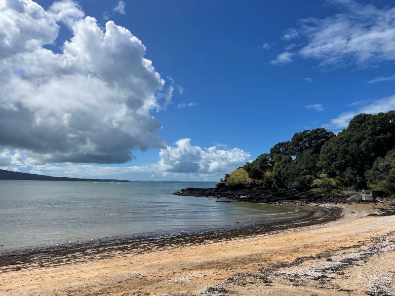 "Ein oranger Sandstrand voller Muscheln und Seegras. Am Ende des Strandes sieht man grüne Bäume. Über dem Meer liegt eine Wolkendecke."