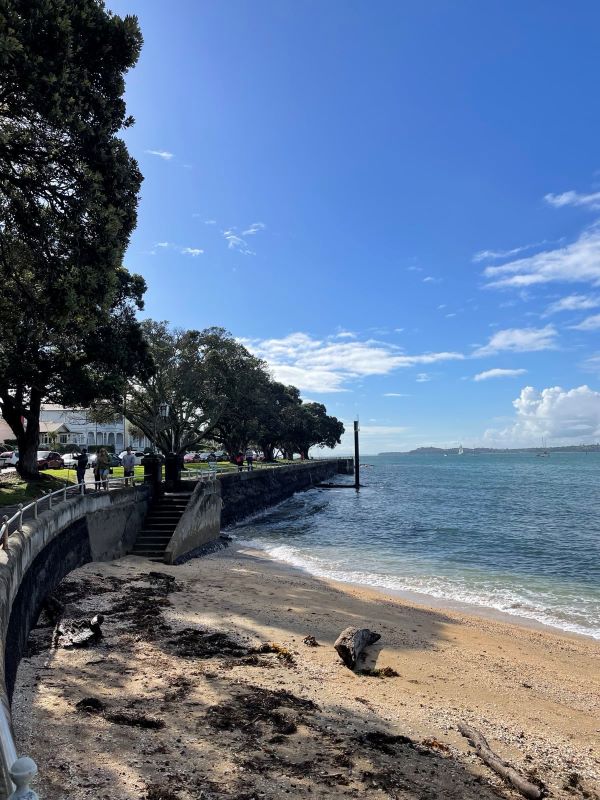 "An der Promenade von Devonport gibt es einen Zugang zum Strand. Dieser ist voller Algen. Die Sonne scheint über dem blauen Meer."