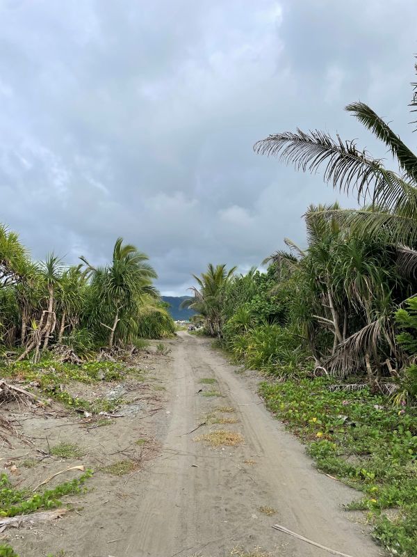 "Ein unasphaltierter Weg führt an grünen Büschen vorbei."