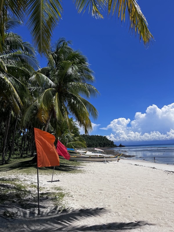 "Am palmenbewachsenen Strand von Mamon steckt eine orange und eine rote Fahne im Sand. Einige kleine Boote legen hier an."