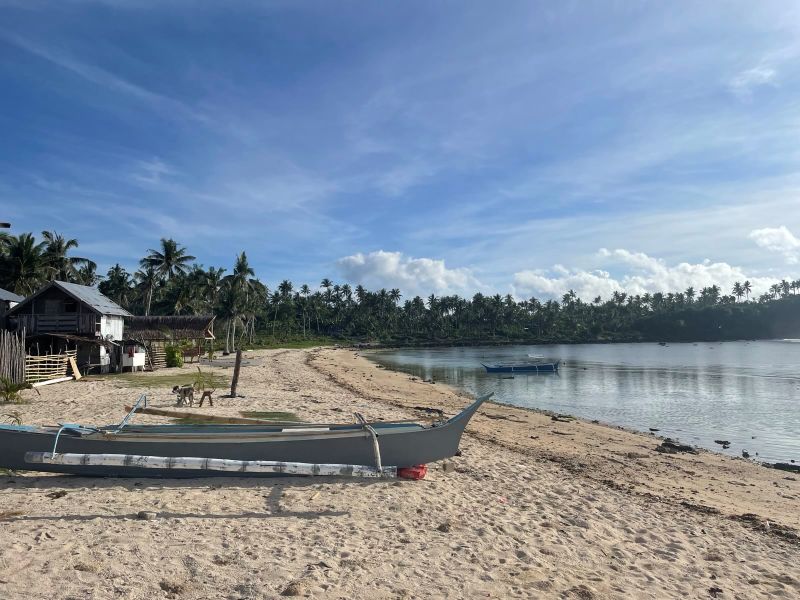 "Am Strand erkennt man zwei Hunde, ein langes Boot und eine Holzhütte. Grüne Palmen umgeben die Bucht."