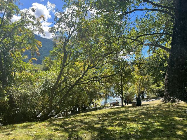 "Der Park ist grün und sonnendurchflutet. Einige Bäume werfen Schatten auf die Wiese."