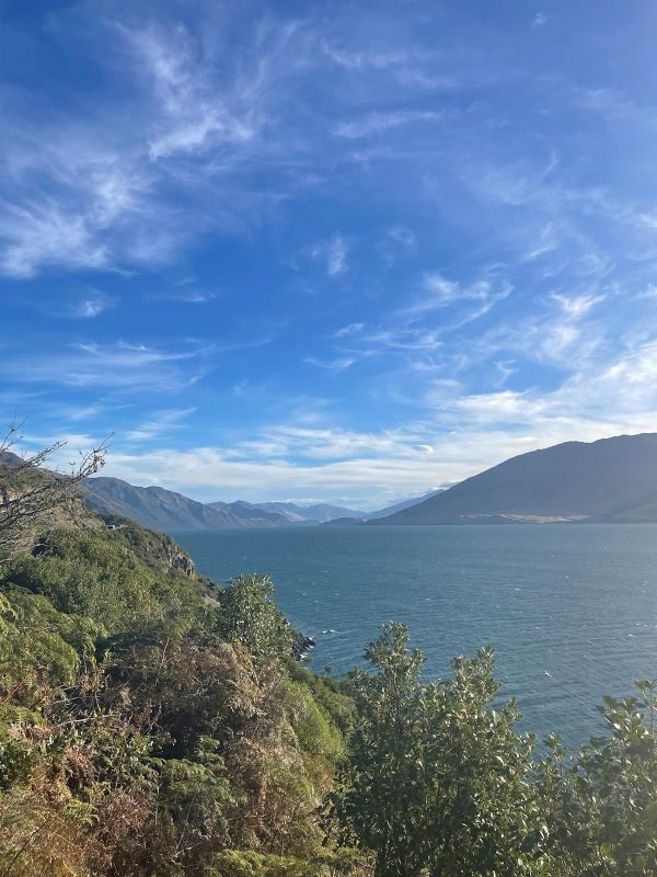 "Der blaue Lake Wanaka vor einer grünen, bewaldeten Küste unter einem leicht bewölkten Himmel. In der Ferne sind braune Berge zu sehen."