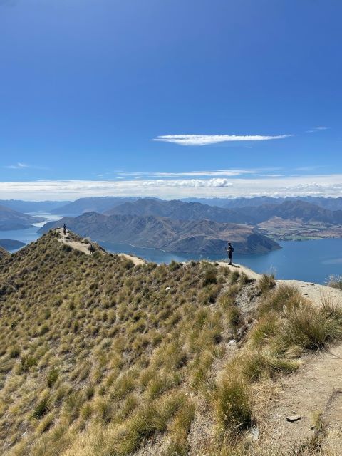 "Ein schmaler Pfad führt zu einem Aussichtspunkt am Roys Peak. Der Pfad ist umgeben von dunkelgrünen Büschen. Im Hintergrund sieht man eine braune Berglandschaft und einen blauen See der sich durch das Gebirge windet."