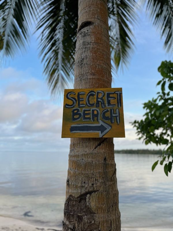 "An einer Palme ist ein gelbes Holzschild montiert. Darauf steht "Secret Beach" und ein Pfeil, der nach rechts zeigt."