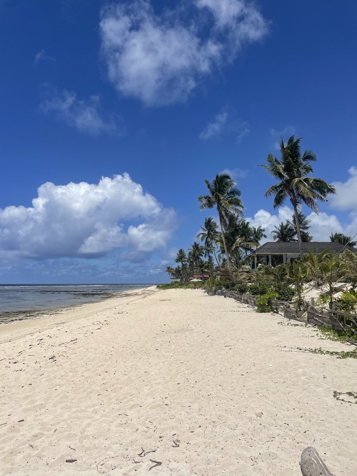 "Ein heller Strand. Links davon das Meer mit einigen kleinen Felsen, rechts die Küste, voller grüner Palmen."