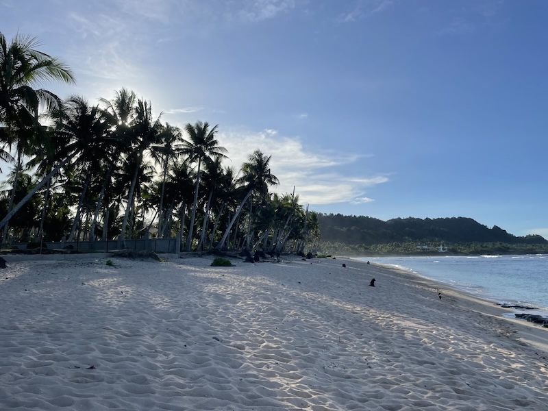 "Der weiße Sandstrand von Pacifico. Einige meterhohe Palmen stehen am Ufer über einem Holzzaun. Das flackernde Sonnenlicht des späten Nachmittags ist am Boden des Strands zu erkennen."