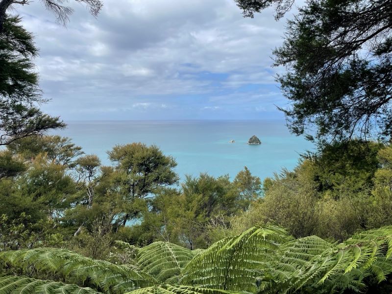 "Hinter dem grünen Wald ergibt sich ein Blick auf die blaue Tasman Bay. In der Ferne ist eine kleine Insel zu erkennen."