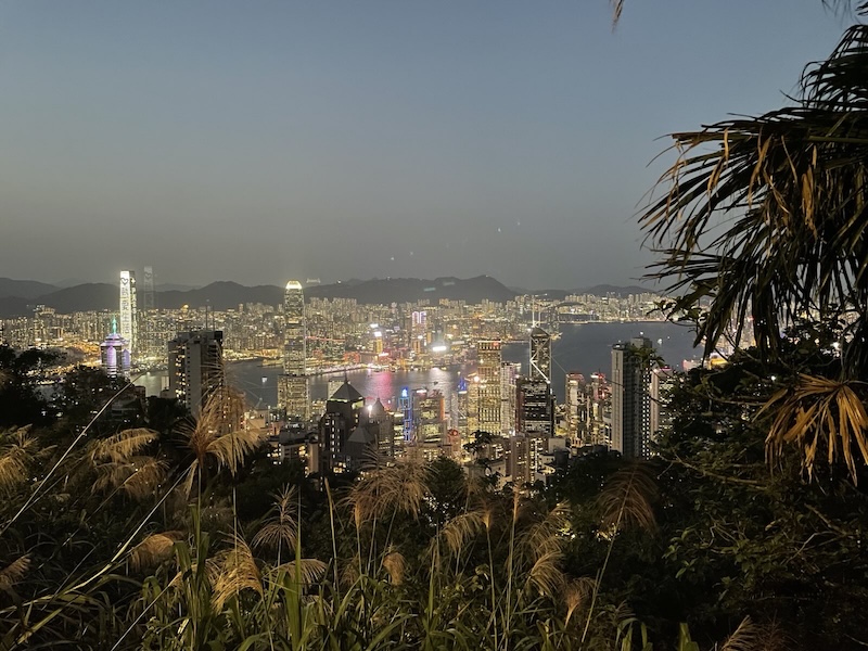 "Der Blick auf Hongkong bei Nacht. Die ganze Stadt leuchtet in Lichtern auf."