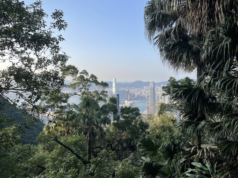 "Der Blick vom grünen Hügel von einer anderen Perspektive. Man erkennt ganz viel grün und einen Teil von der Skyline Hongkons."