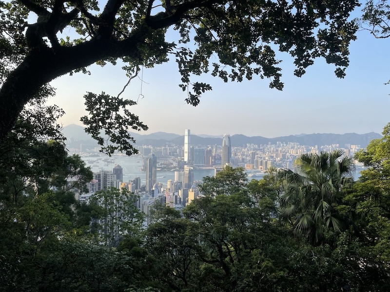 "Der Blick vom grünen Hügel. Hinter eingen Bäumen erkennt man die Skyline Hongkongs, samt Hafen und Hügellandschaft im Hintergrund."