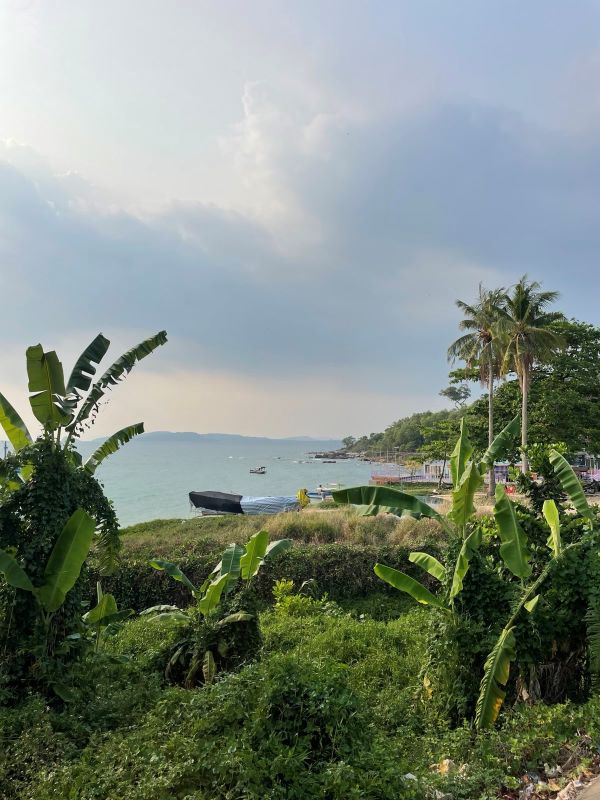 "Am Strand der Insel wuchert die grüne Vegetation. Bananenbäume und Palmen wachsen an der grünen Küste, an der einige Boote anliegen."